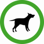 Animals and pets