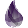 Elixir