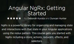 Angular NgRx: Getting Started — Online Course