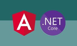 Build an app with ASPNET Core and Angular from scratch — Online Course