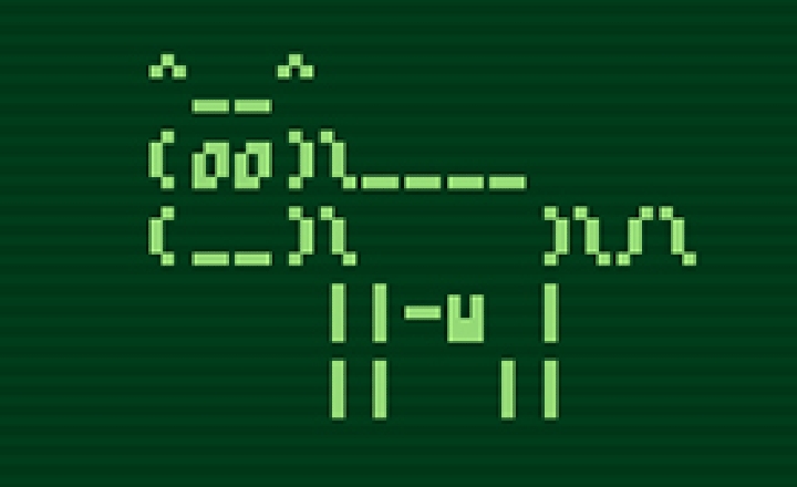 Master the Linux Command-Line & Bash Scripting by Gustavo Pezzi