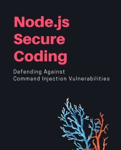 Node.js Secure Coding by Liran Tal
