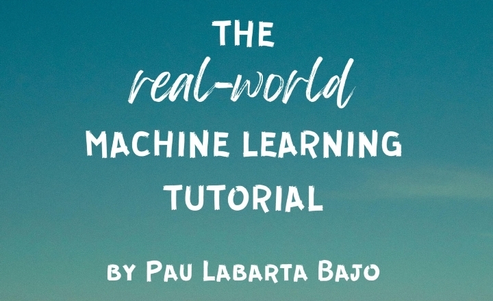 The Real-World ML Tutorial — Online Course by Pau Labarta Bajo