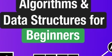 Algorithms and Data Structures for Beginners