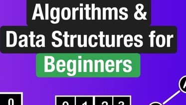 Algorithms and Data Structures for Beginners