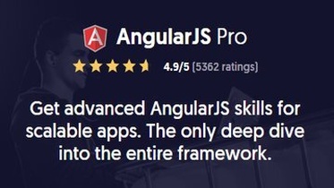 AngularJS Pro