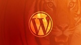 Become a WordPress Developer: Unlocking Power With Code