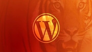 Become a WordPress Developer: Unlocking Power With Code thumbnail