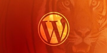 Become a WordPress Developer: Unlocking Power With Code