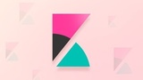 Data Visualization with Kibana