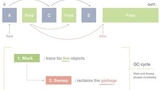 Garbage Collection Algorithms