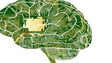 Getting Started with Embedded AI | Edge AI