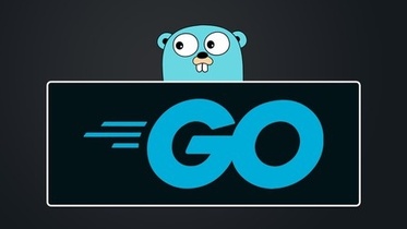 Go - The Complete Guide