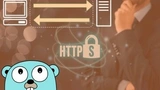 How to develop a productive HTTP client in Golang (Go)