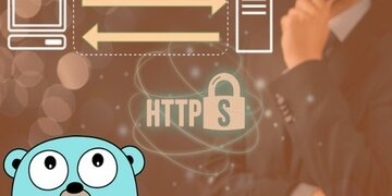 How to develop a productive HTTP client in Golang (Go)