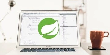 Learn Spring 5, Boot 2, JPA, Thymeleaf, AOP, Web MVC, REST thumbnail