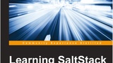 Learning Salt