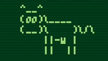 Master the Linux Command-Line & Bash Scripting