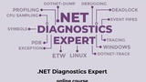 .NET Diagnostics Expert .NET Diagnostics Expert