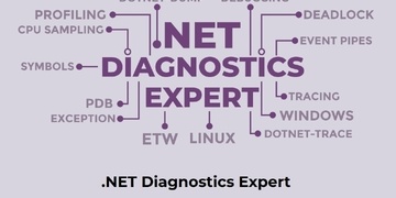 .NET Diagnostics Expert