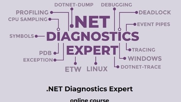 .NET Diagnostics Expert