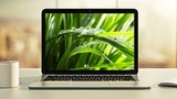 [NEW] Spring Boot 3, Spring 6 & Hibernate for Beginners
