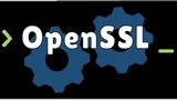 OpenSSL Training