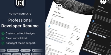 Professional Developer Resume