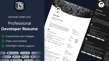 Professional Developer Resume