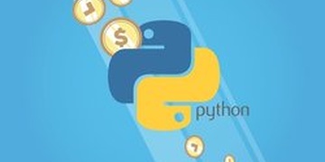 Python - The Practical Guide