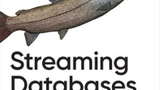 Streaming Databases