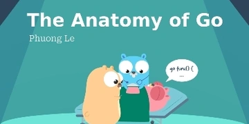 The Anatomy of Go thumbnail