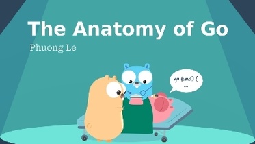 The Anatomy of Go