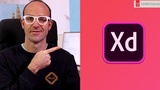 User Experience Design Essentials - Adobe XD UI UX Design