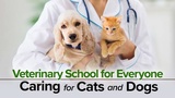 Veterinary School for Everyone: Caring for Cats and Dogs Veterinary School for Everyone: Caring for Cats and Dogs