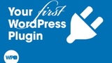 Your First WordPress Plugin Your First WordPress Plugin