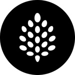 backpine labs
