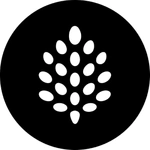 backpine labs thumbnail