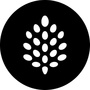 backpine labs